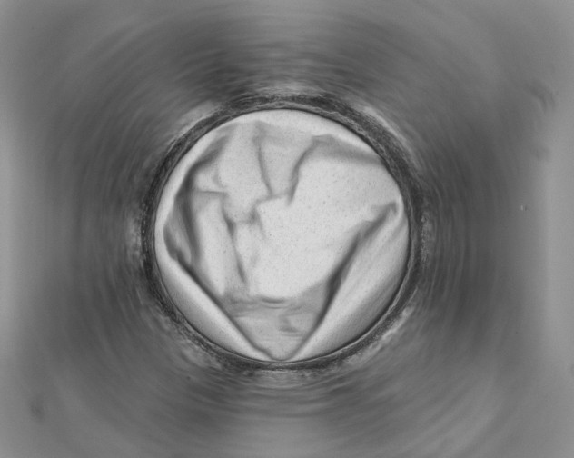 X0000112061305200909010954