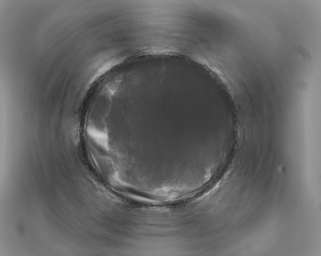 X0000112061306200909010954