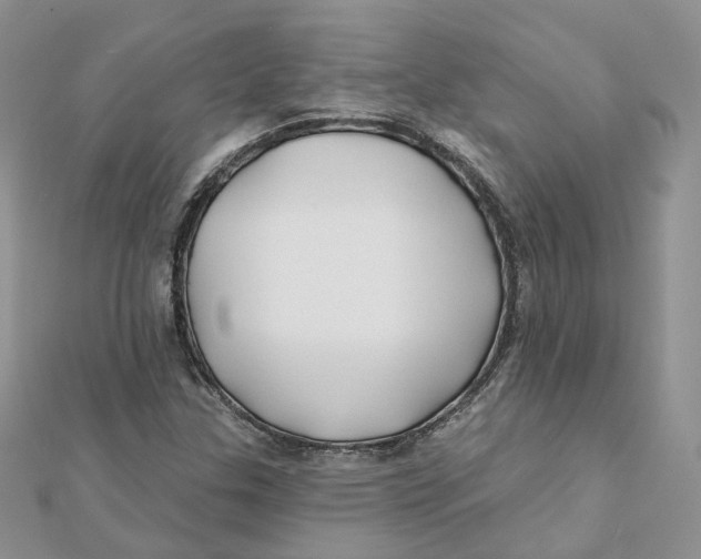 X0000112061307200909010954