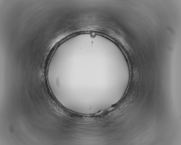 X0000112061308200909010954