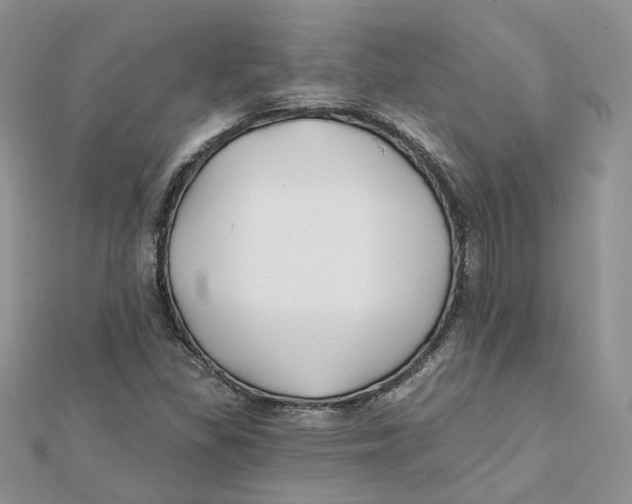 X0000112061309200909010954