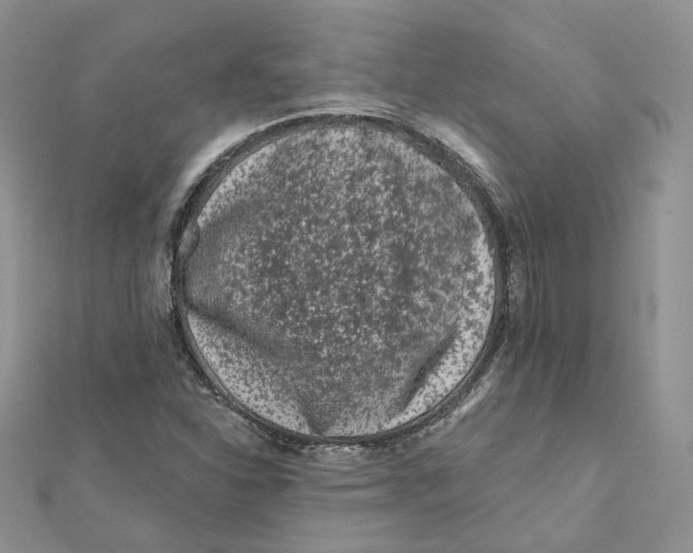 X0000112061310200909010954