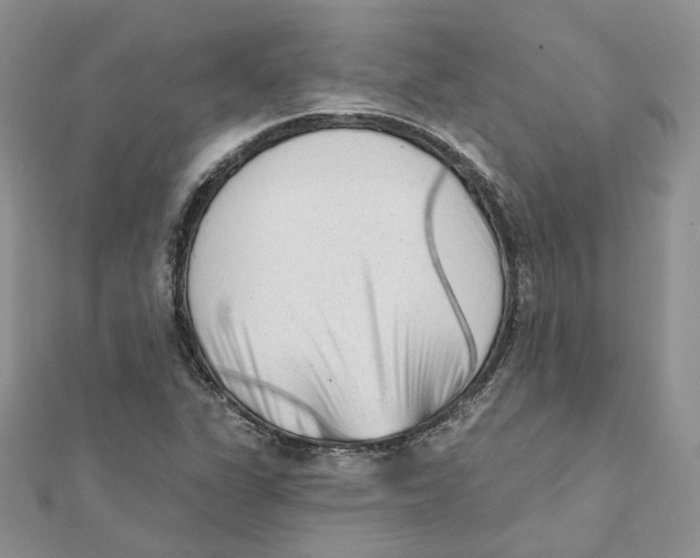 X0000112061311200909010954