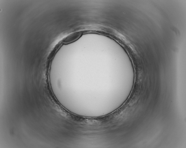 X0000112061312200909010954