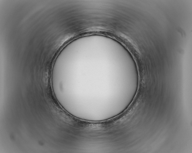 X0000112061313200909010954