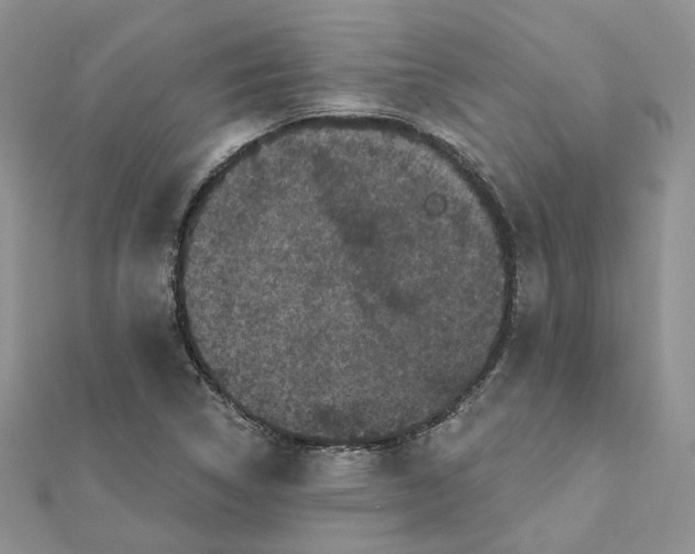 X0000112061314200909010954