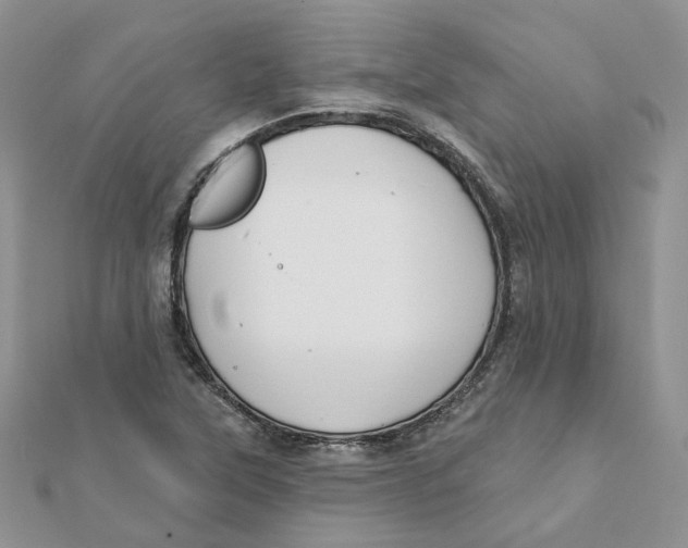 X0000112061315200909010954