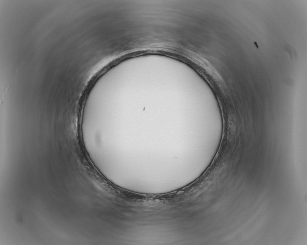 X0000112061316200909010954