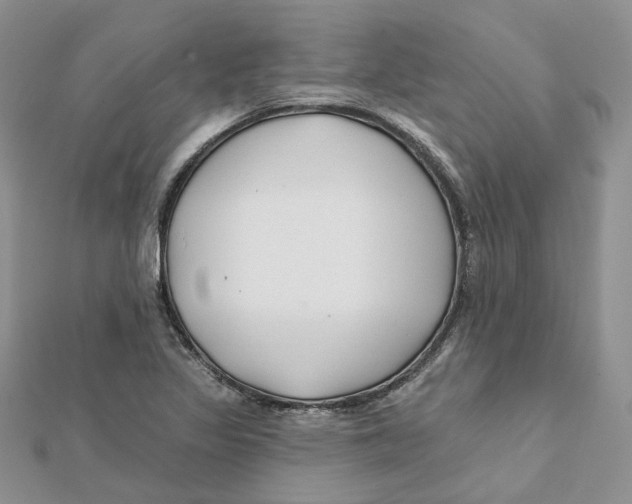 X0000112061317200909010954