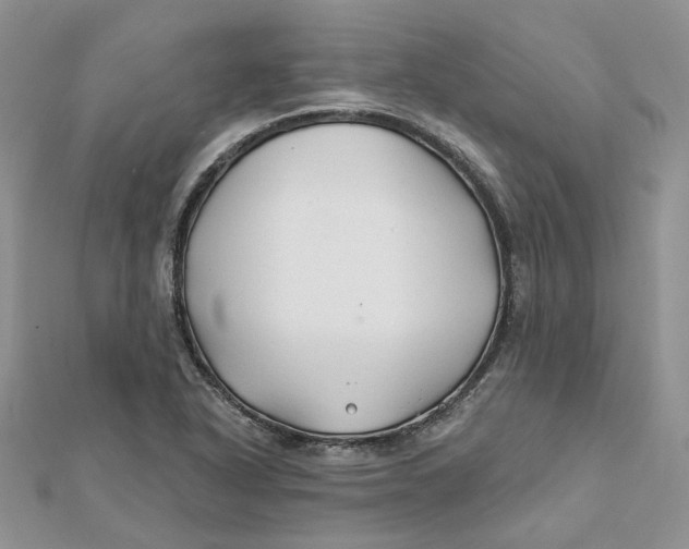 X0000112061318200909010954