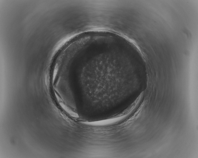 X0000112061319200909010954