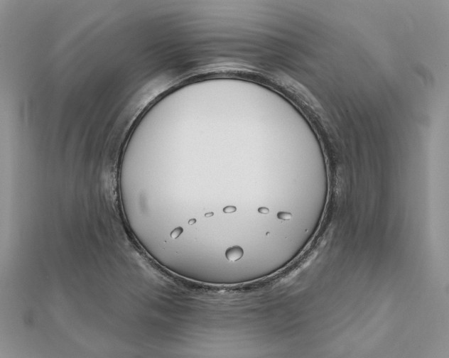 X0000112061321200909010954