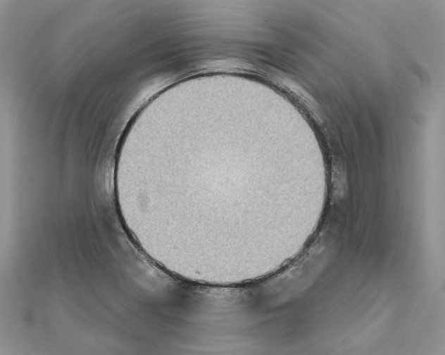 X0000112061322200909010954