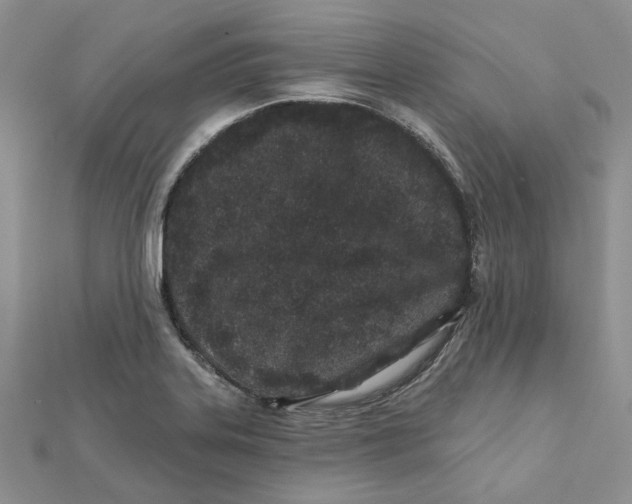 X0000112061323200909010954