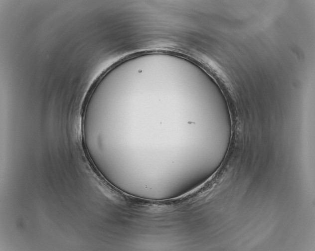 X0000112061324200909010954