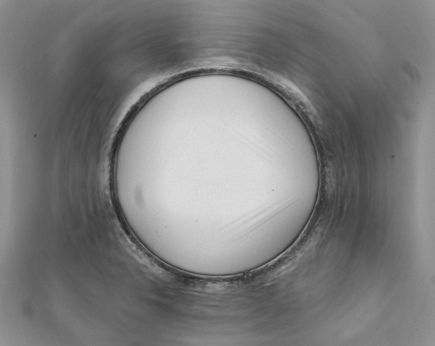 X0000112061326200909010954