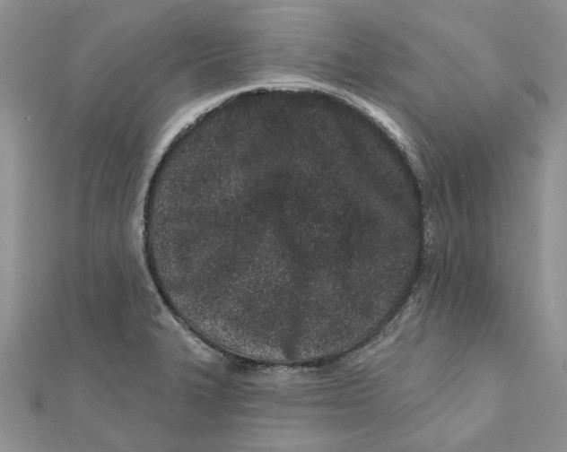 X0000112061327200909010954