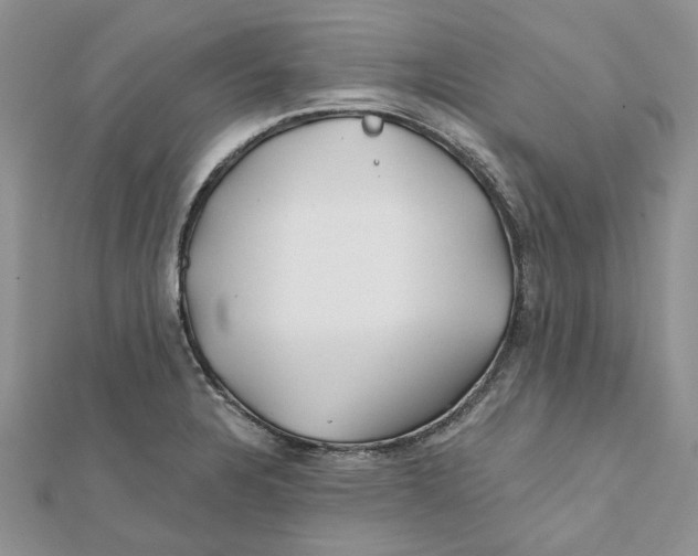 X0000112061328200909010954