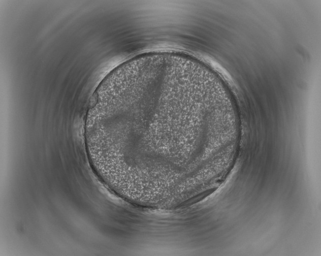 X0000112061329200909010954