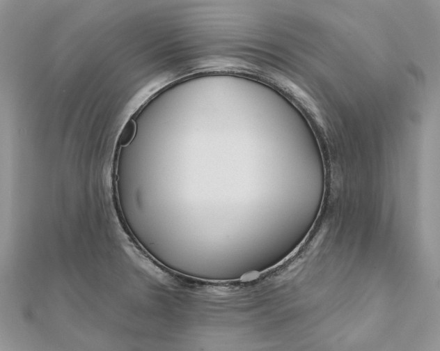 X0000112061330200909010954