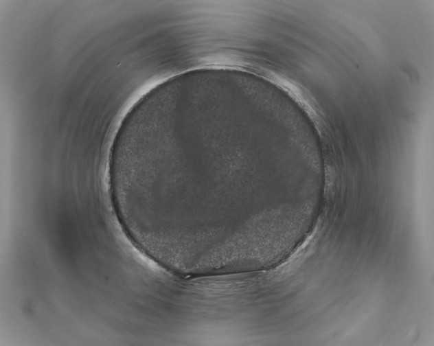 X0000112061331200909010954