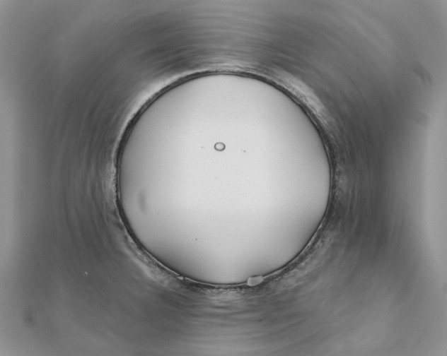 X0000112061332200909010955