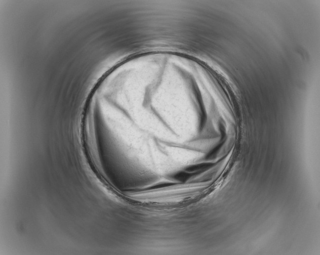 X0000112061333200909010955