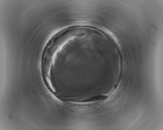 X0000112061334200909010955