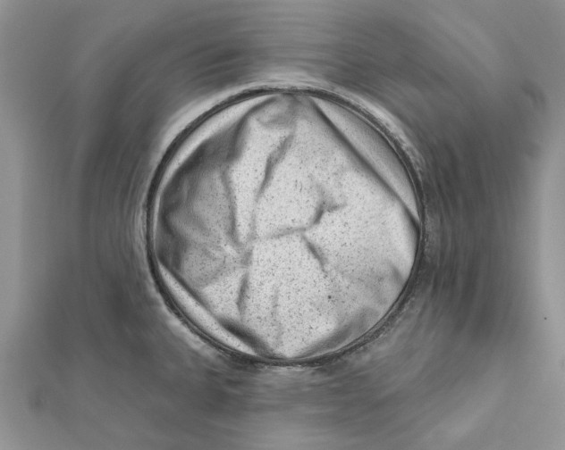 X0000112061335200909010955