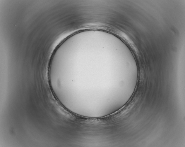 X0000112061336200909010955