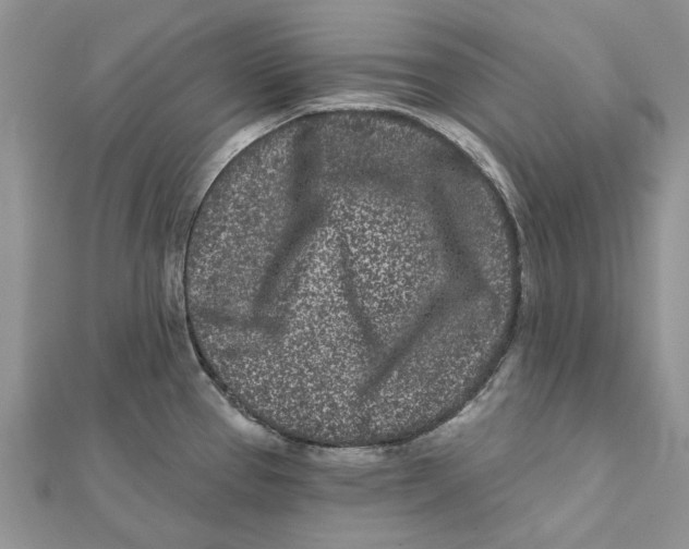 X0000112061337200909010955