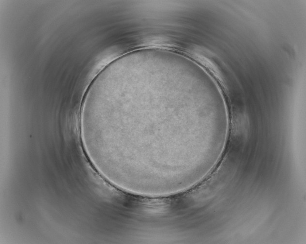 X0000112061338200909010955