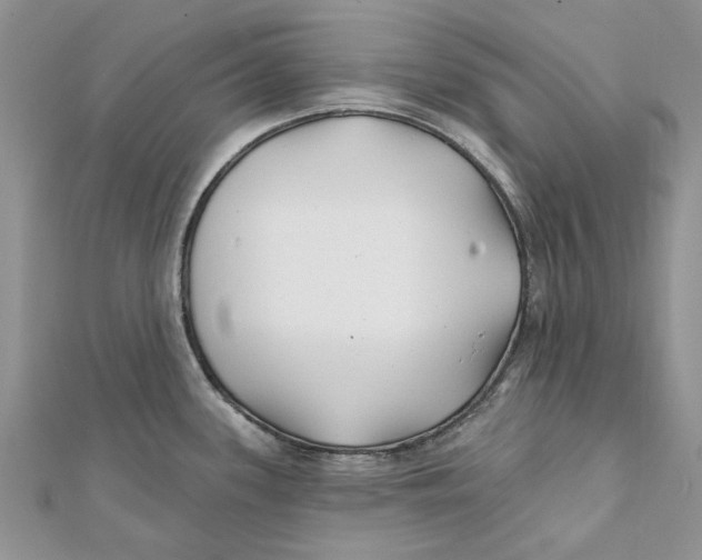 X0000112061339200909010955