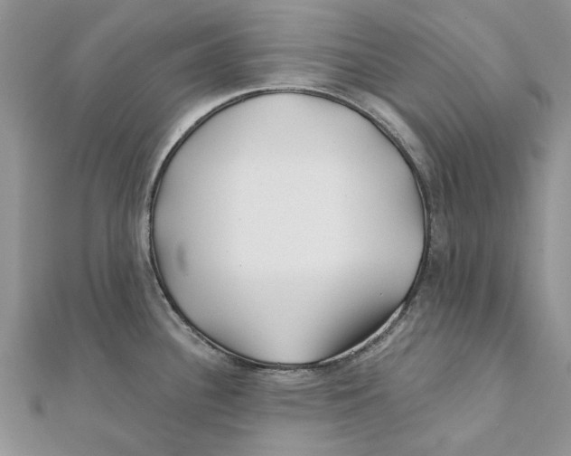 X0000112061340200909010955