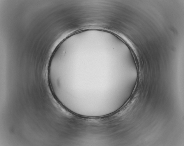 X0000112061341200909010955