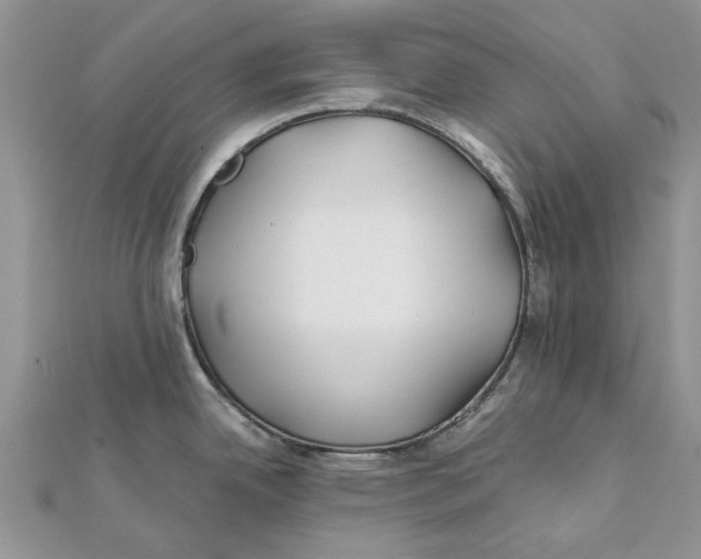 X0000112061342200909010955