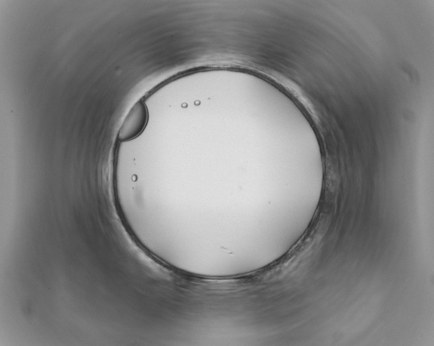 X0000112061343200909010955