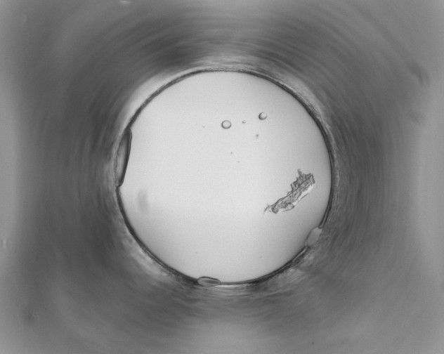 X0000112061344200909010955