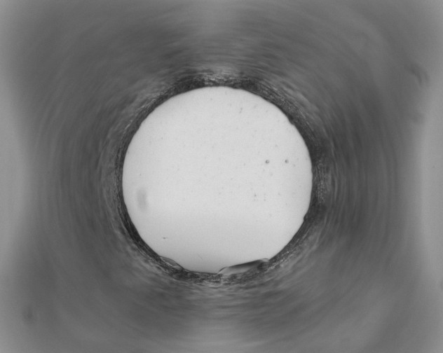 X0000112061345200909010954