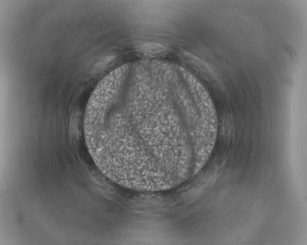 X0000112061346200909010954