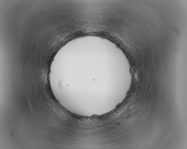 X0000112061348200909010954