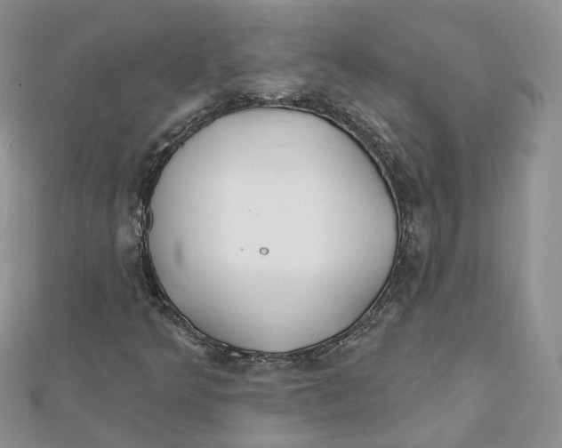 X0000112061349200909010954