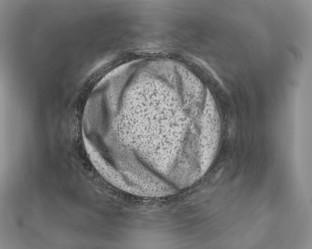 X0000112061350200909010954