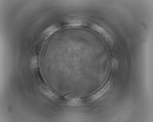 X0000112061353200909010954