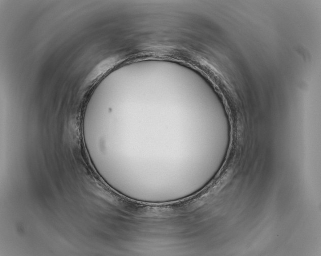 X0000112061354200909010954