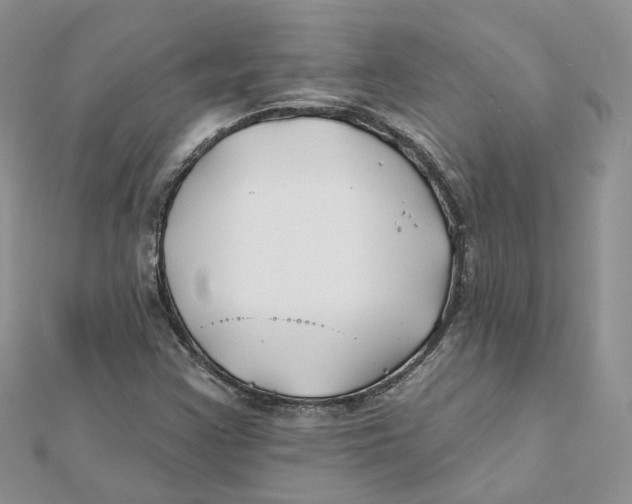 X0000112061355200909010954