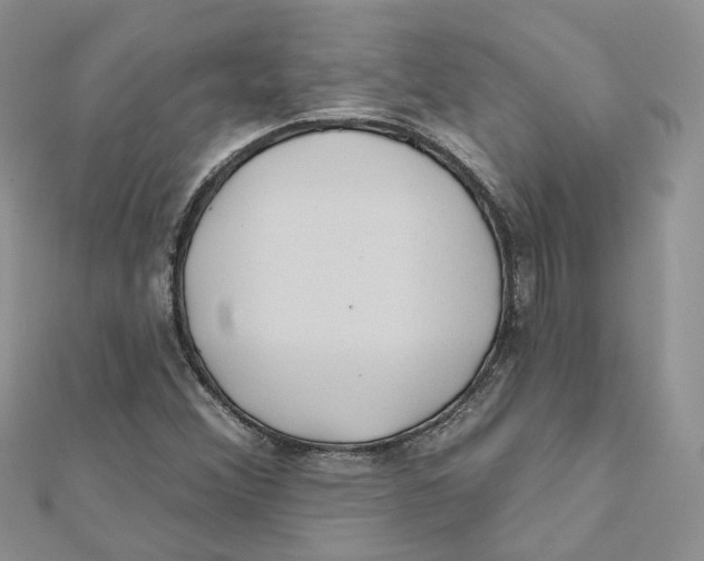 X0000112061356200909010954