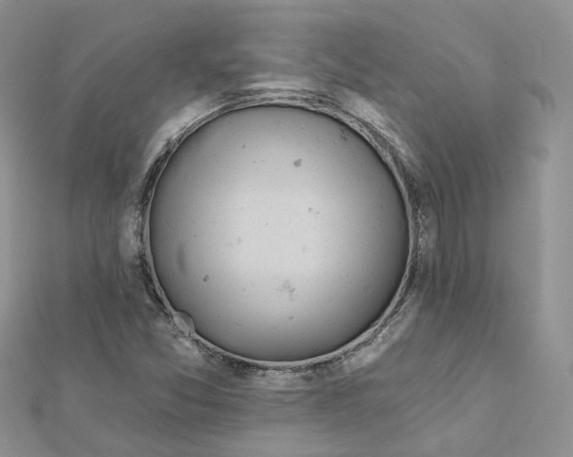 X0000112061357200909010954