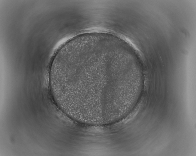 X0000112061358200909010954