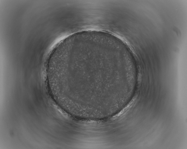 X0000112061359200909010954